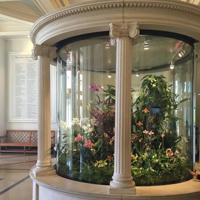 Plant Biotope Tank