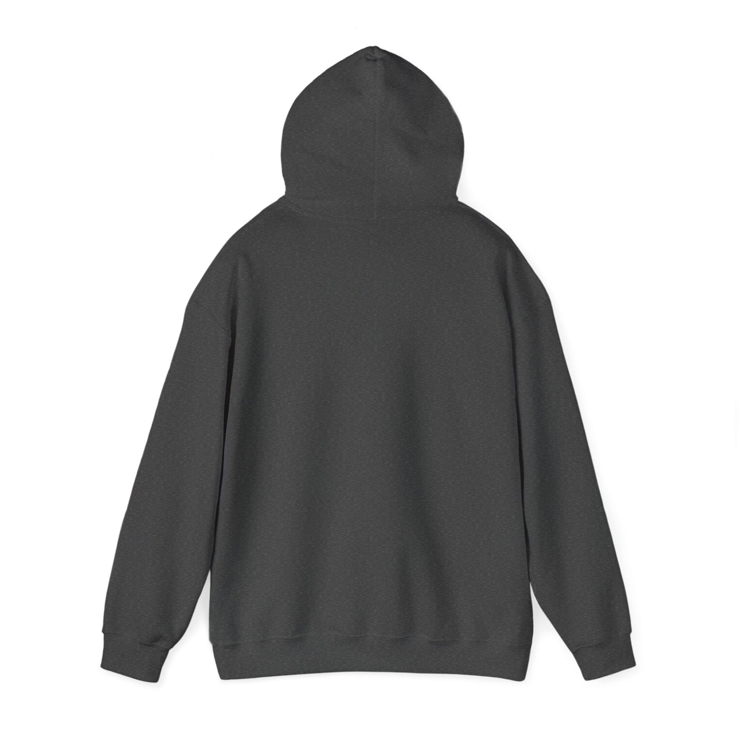 COLLEGE UNIVERSITY Hooded Sweatshirt