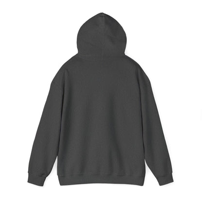 COLLEGE UNIVERSITY Hooded Sweatshirt