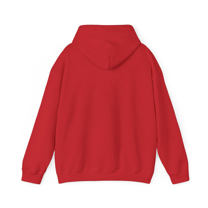 COLLEGE UNIVERSITY Hooded Sweatshirt