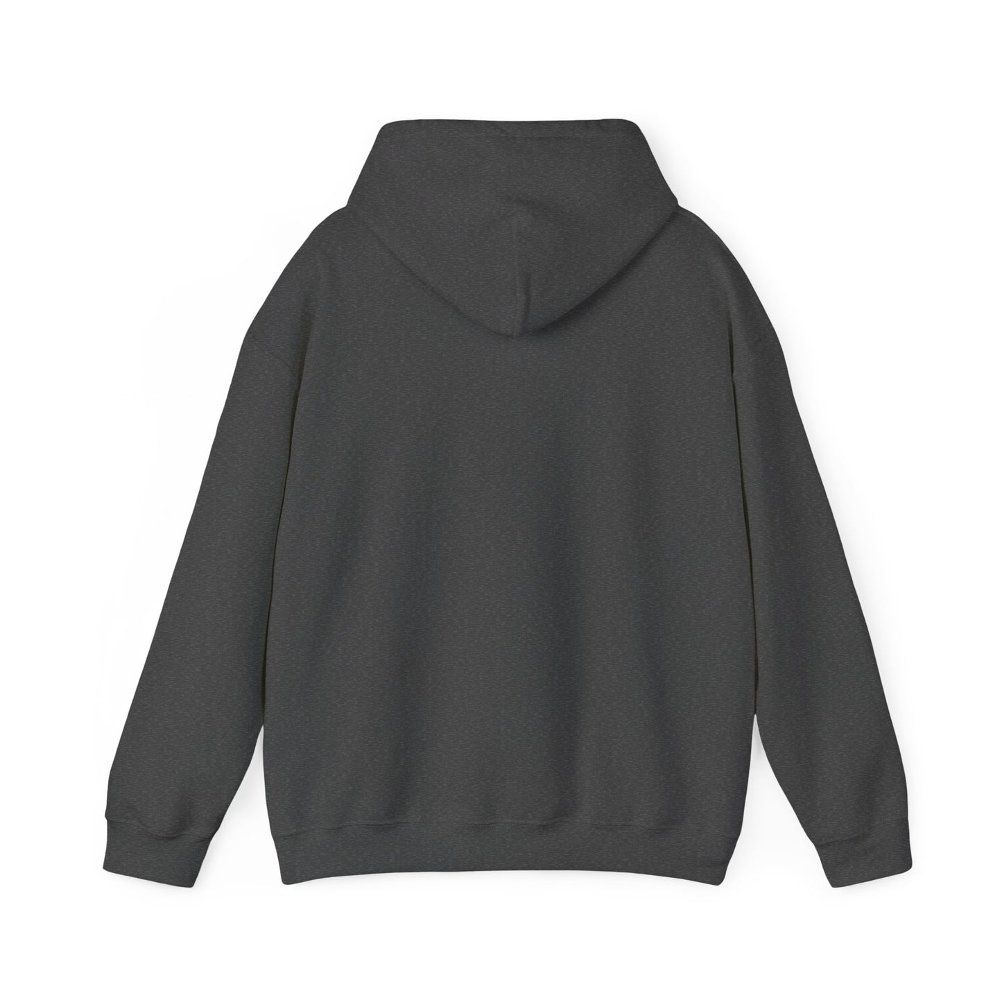 COLLEGE UNIVERSITY Hooded Sweatshirt