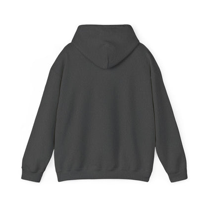 COLLEGE UNIVERSITY Hooded Sweatshirt