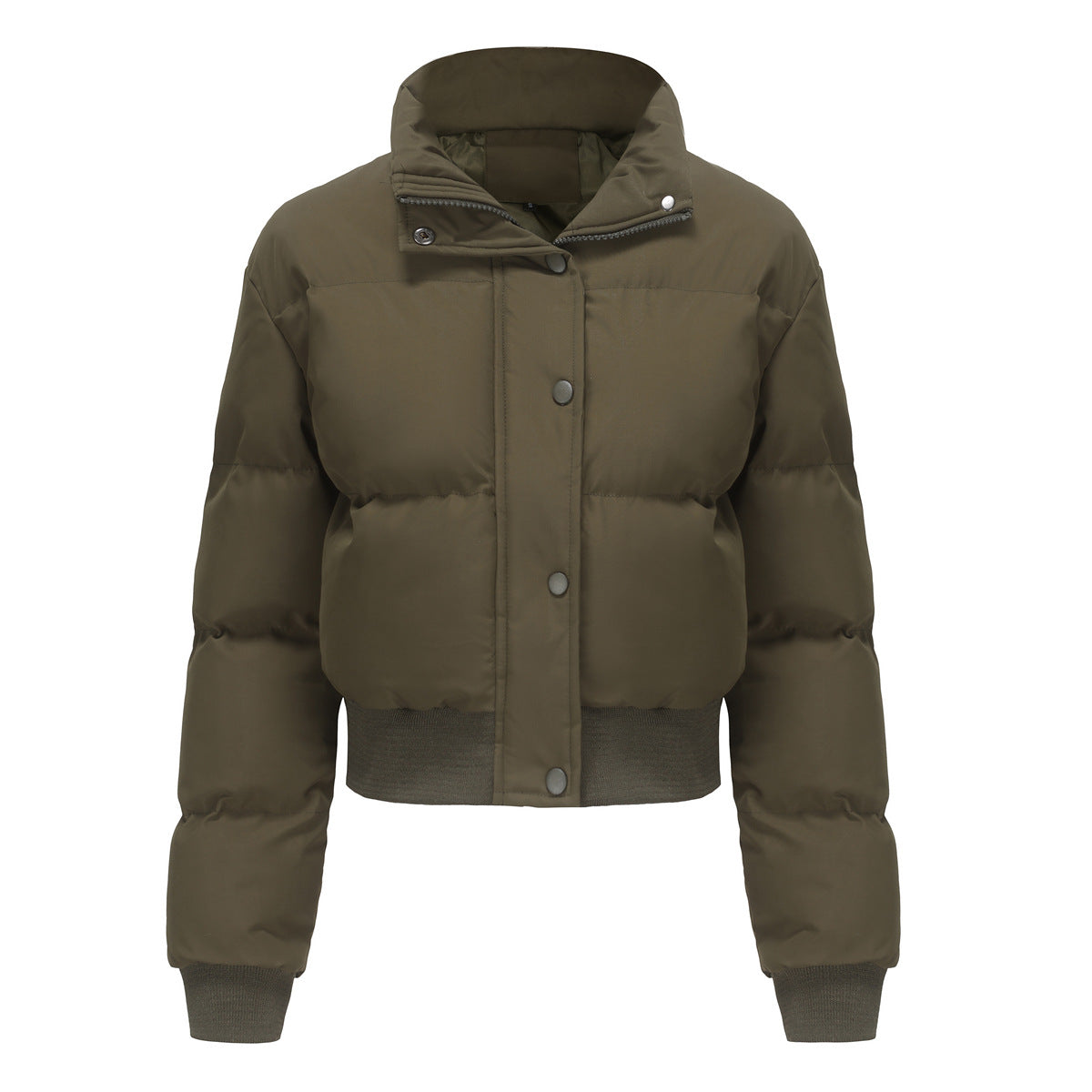 Short Padded Cotton Jacket With Waistband & High Collar Coat (7516614983768)