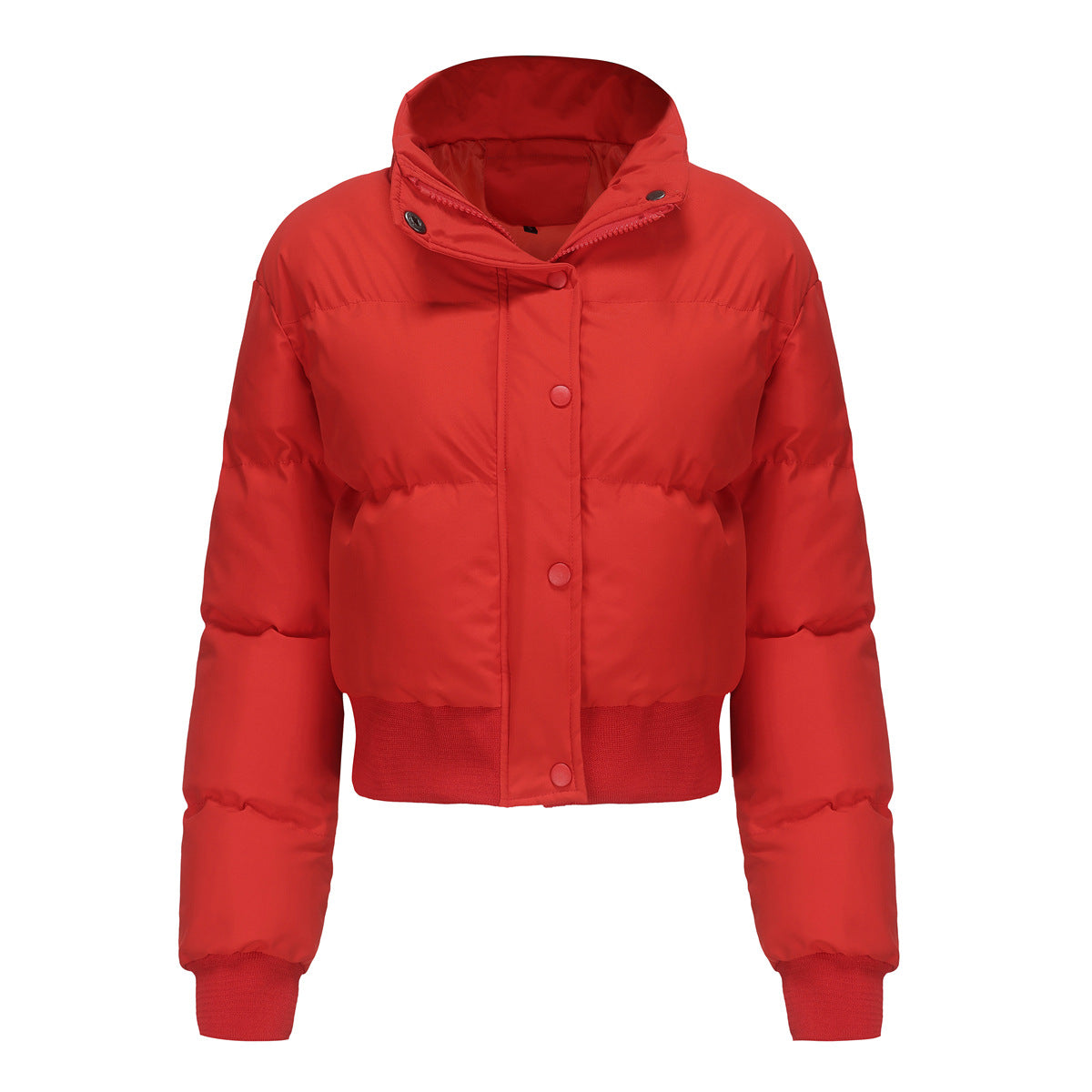 Short Padded Cotton Jacket With Waistband & High Collar Coat (7516614983768)