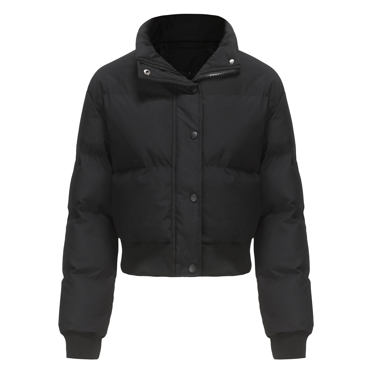 Short Padded Cotton Jacket With Waistband & High Collar Coat (7516614983768)