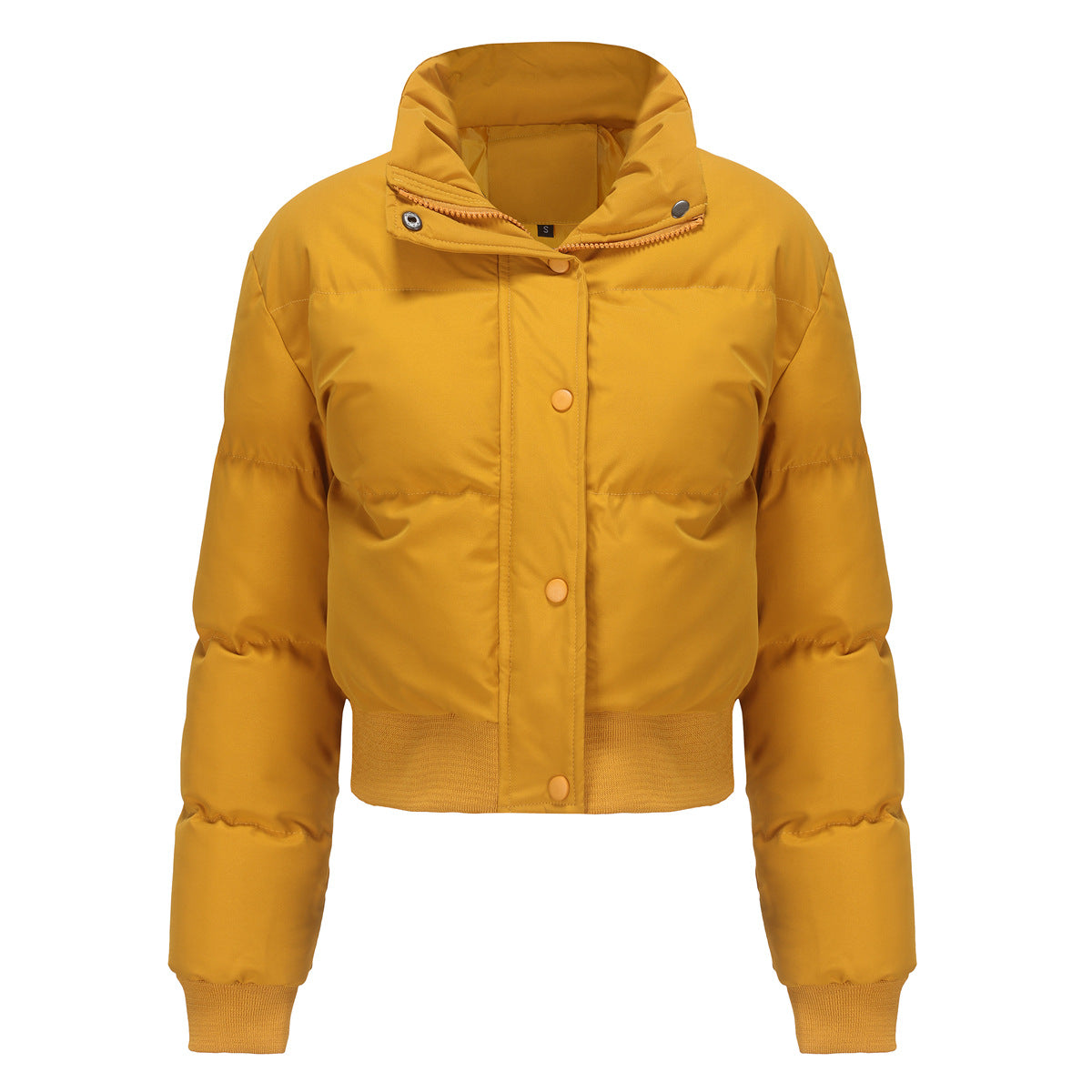 Short Padded Cotton Jacket With Waistband & High Collar Coat (7516614983768)