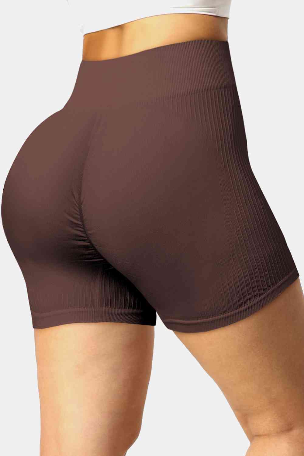 Ribbed Sports Shorts (7500824084568)