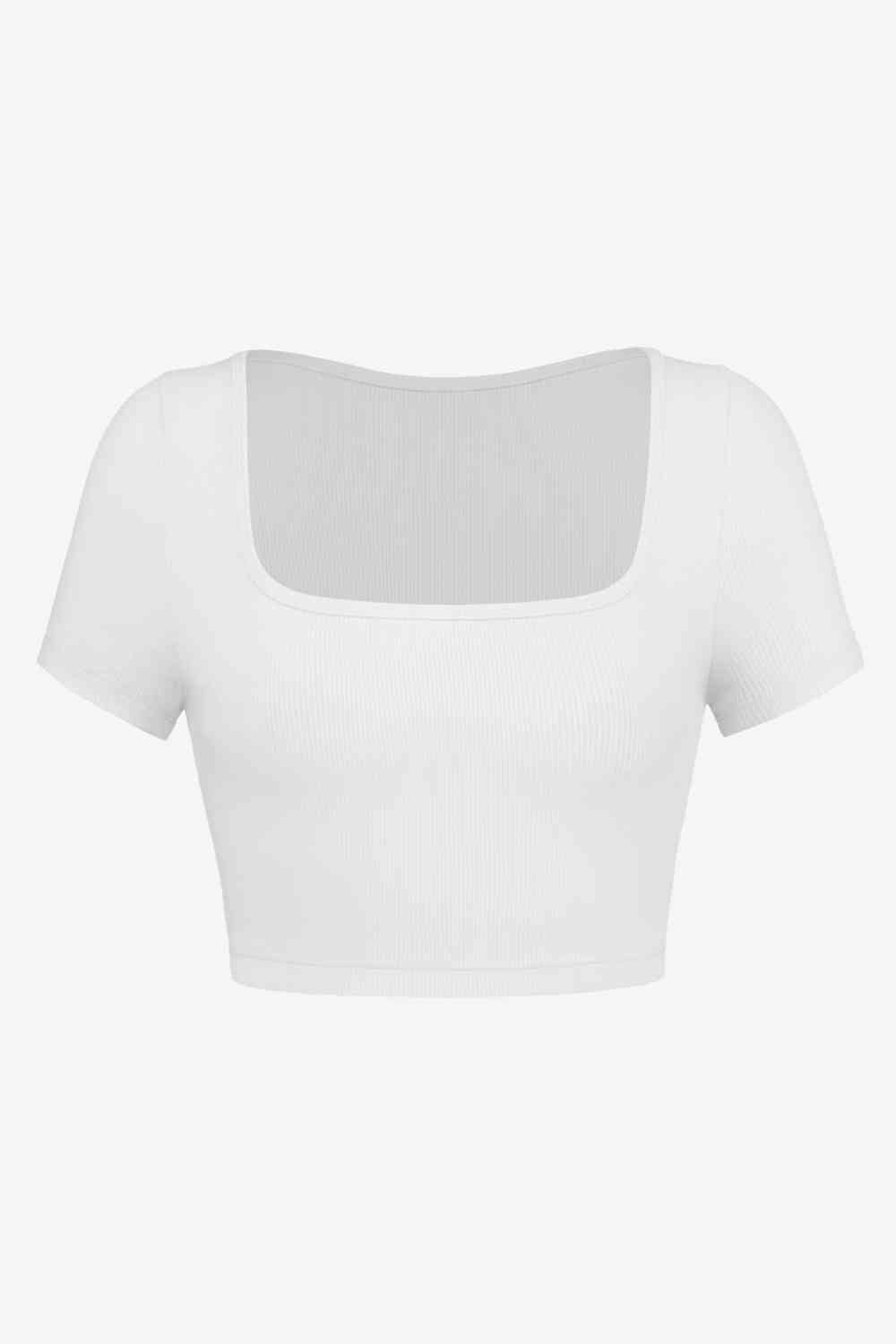 Square Neck Ribbed - Crop-Top (7501331234904)