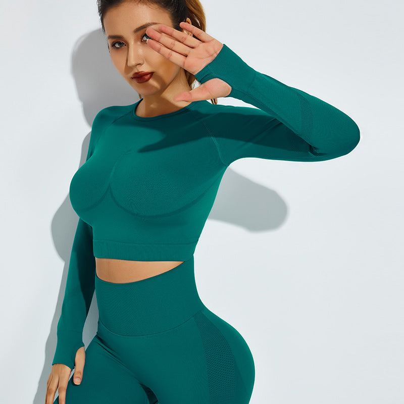 Seamless Knitted High Elastic Long Sleeves High-Waist Yoga Set